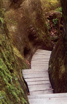 und nun in die Schlucht