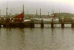 im Hafen von Hvide Sande